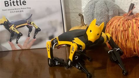 Petoi Bittle Robot Dog Review: It’s More Than a Pet .